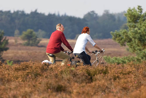 Fietsen op de heide bij Uelsen