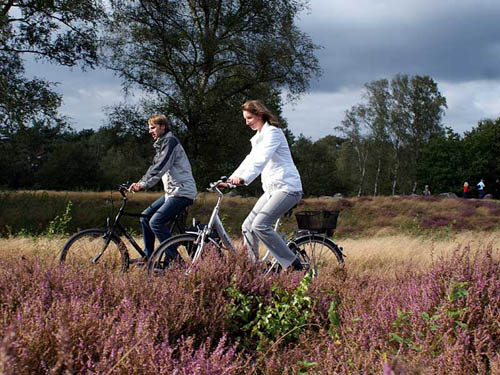 Fietsen op heidepad